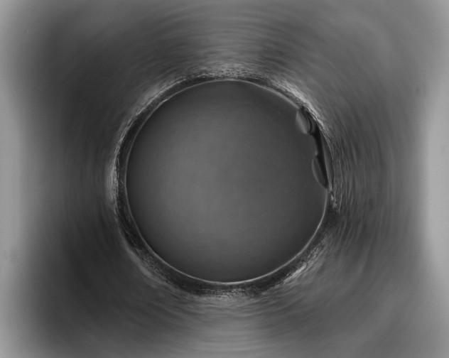 X0000095880674200801181206
