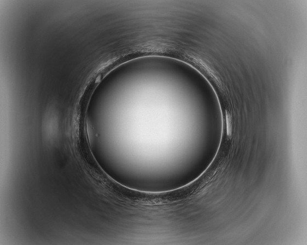 X0000095880675200801181206