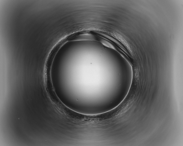 X0000095880676200801181206