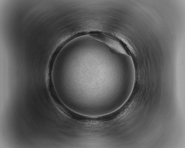X0000095880677200801181206