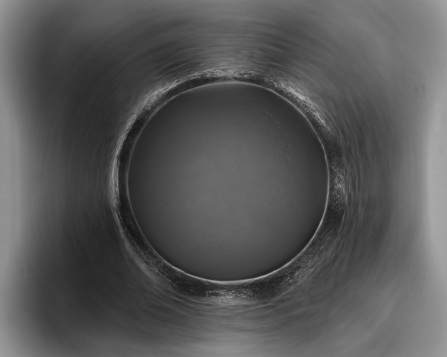 X0000095880678200801181206