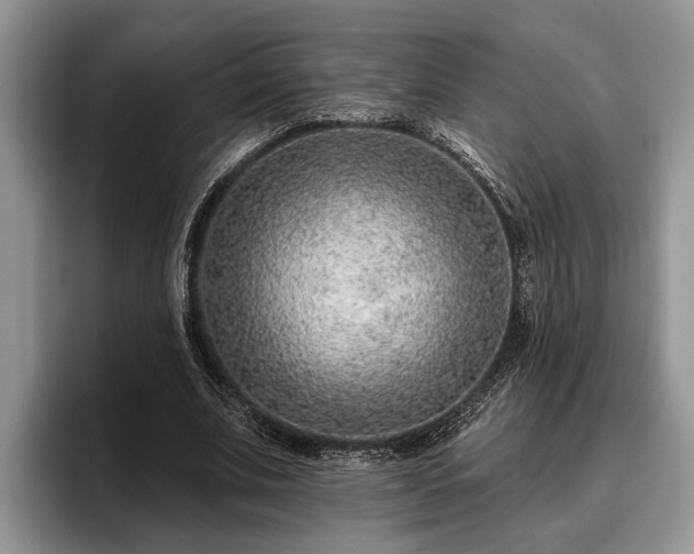 X0000095880679200801181206