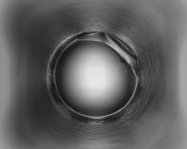 X0000095880680200801181206