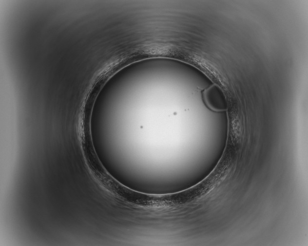 X0000095880682200801181206