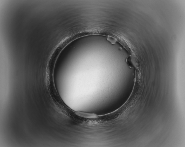 X0000095880684200801181206