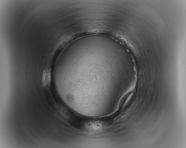 X0000095880685200801181206