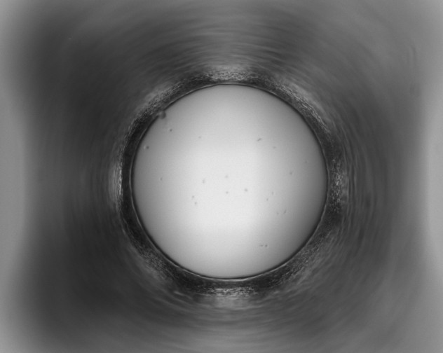 X0000095880686200801181206