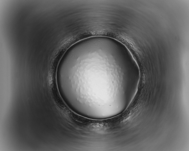 X0000095880687200801181206
