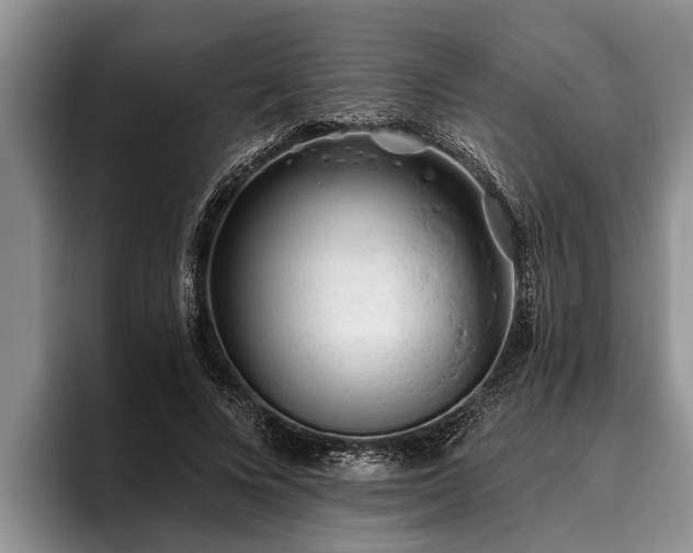 X0000095880688200801181206