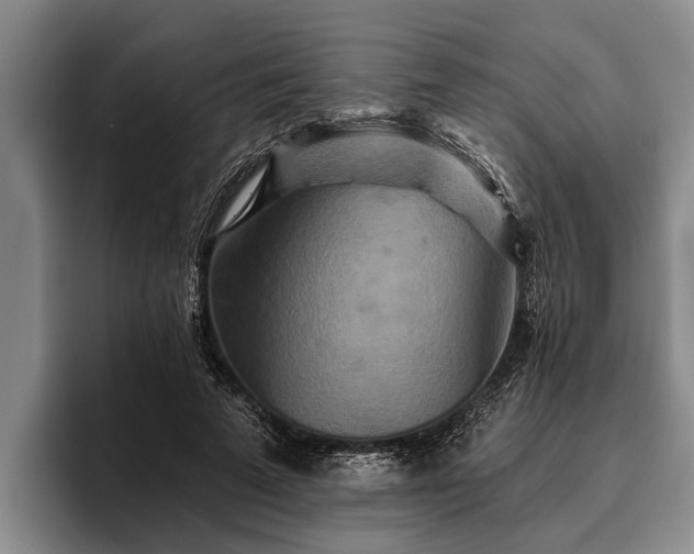 X0000095880689200801181206
