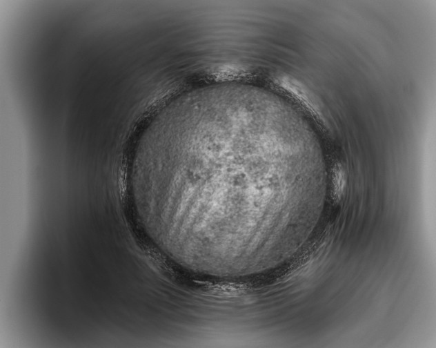 X0000095880691200801181206