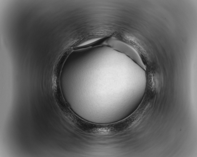 X0000095880692200801181206