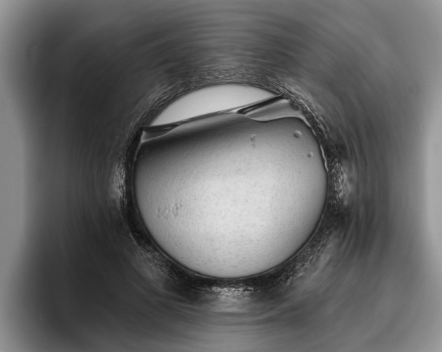 X0000095880693200801181206