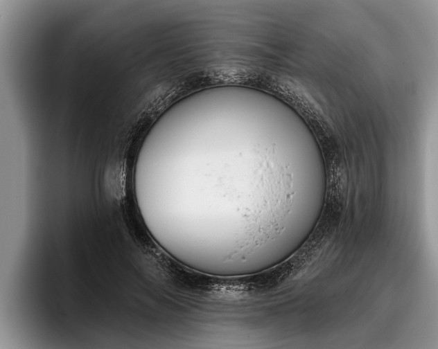 X0000095880694200801181206