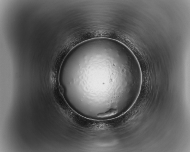 X0000095880695200801181206