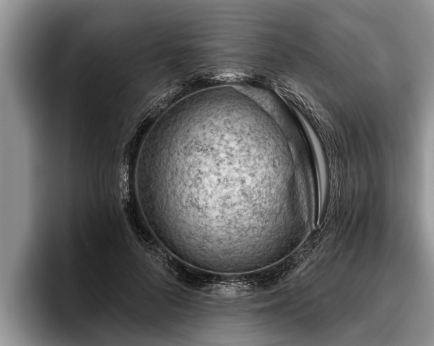 X0000095880696200801181206