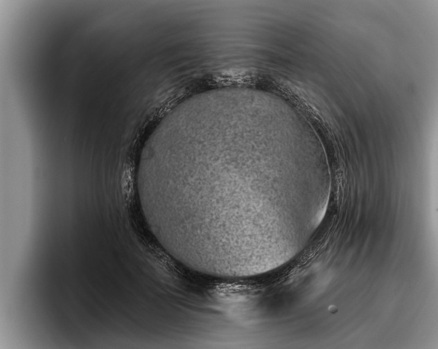 X0000095880699200801181206