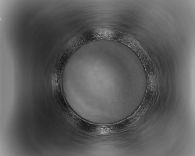 X0000095880701200801181206