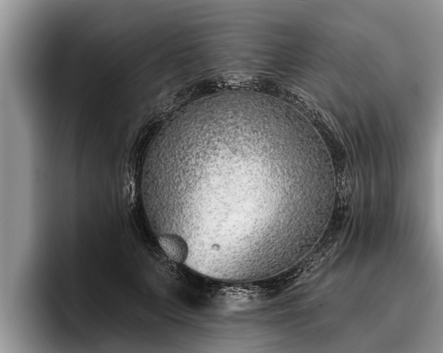 X0000095880703200801181205