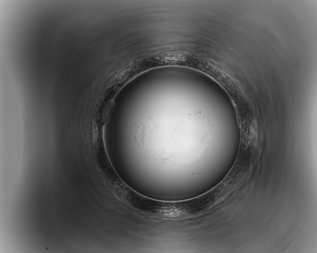 X0000095880704200801181205