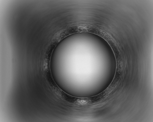X0000095880706200801181205