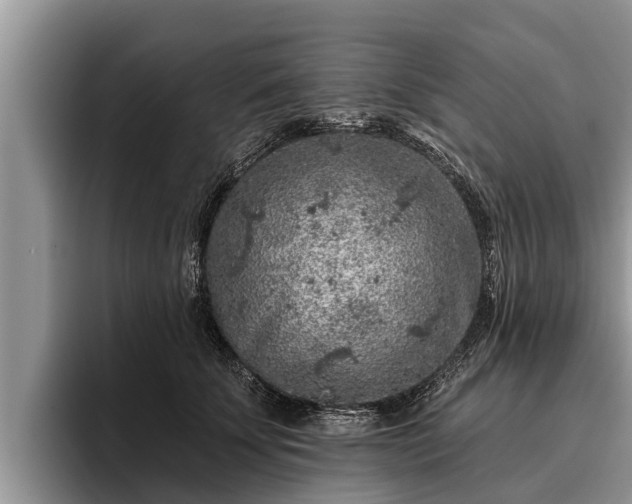 X0000095880707200801181205