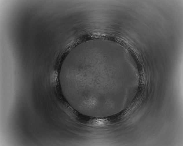 X0000095880711200801181205