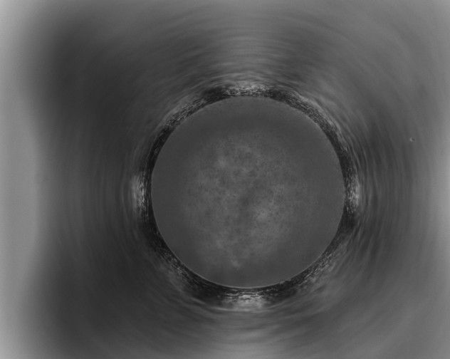 X0000095880715200801181205