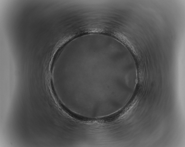 X0000095880721200801181205