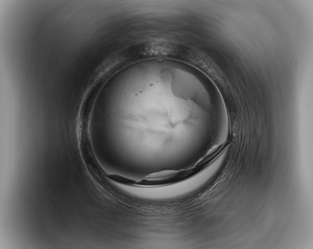 X0000095880722200801181205