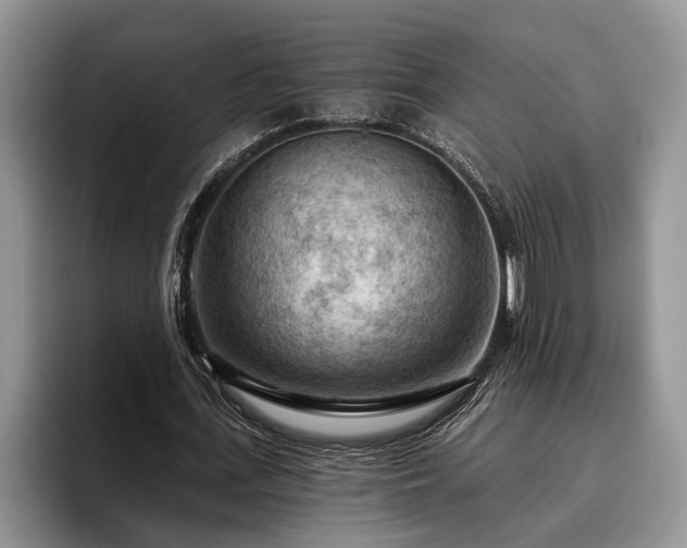 X0000095880723200801181205