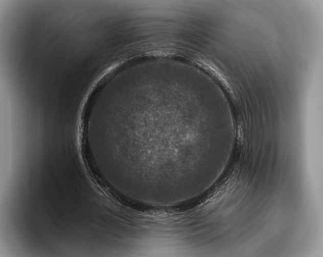X0000095880724200801181205