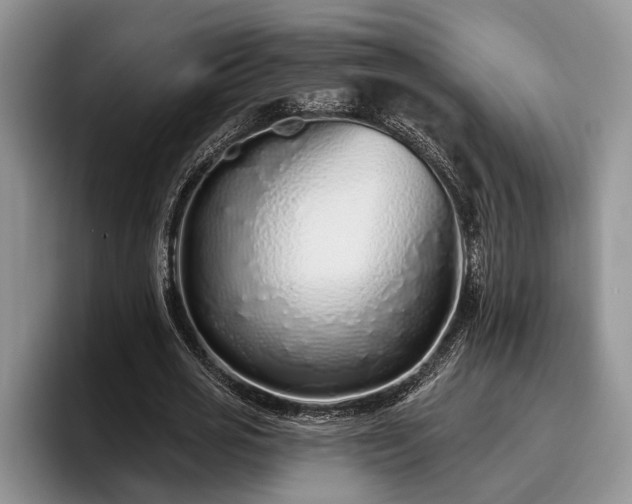 X0000095880725200801181205
