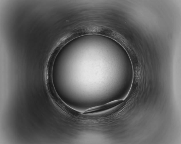 X0000095880726200801181205