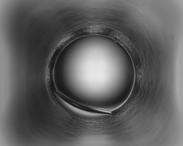 X0000095880727200801181205