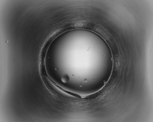 X0000095880728200801181205