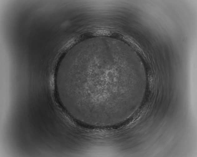 X0000095880729200801181205