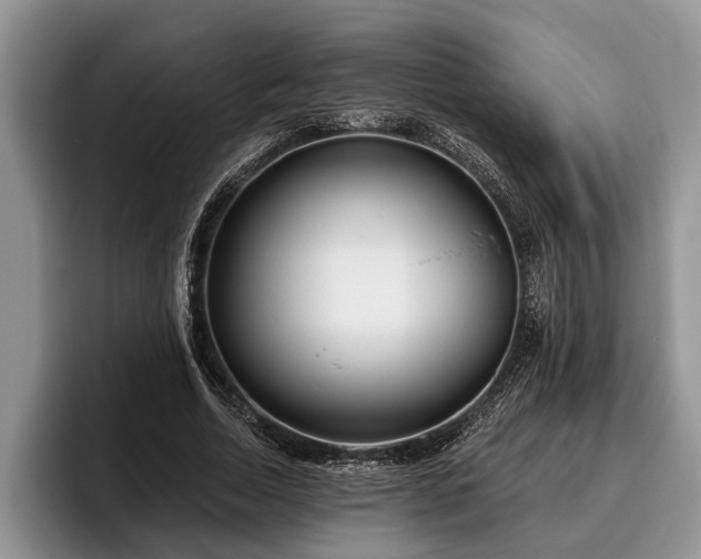 X0000095880730200801181205