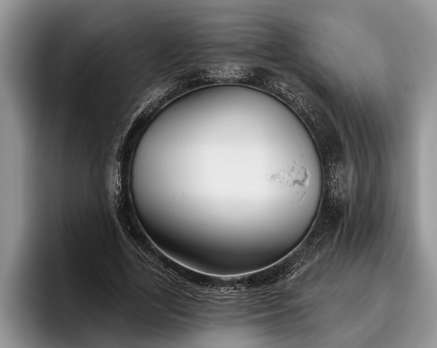 X0000095880731200801181205