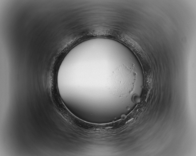 X0000095880732200801181205