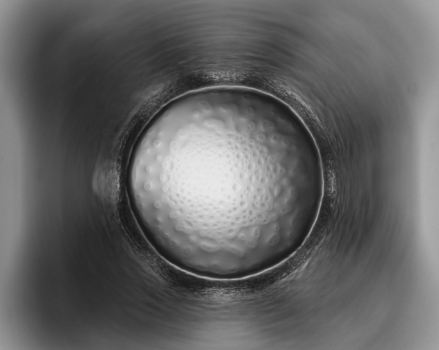 X0000095880733200801181205