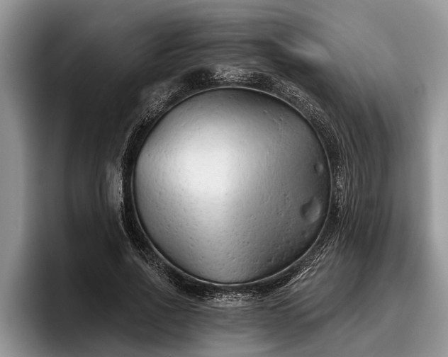 X0000095880734200801181205