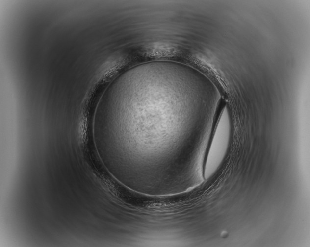 X0000095880735200801181205