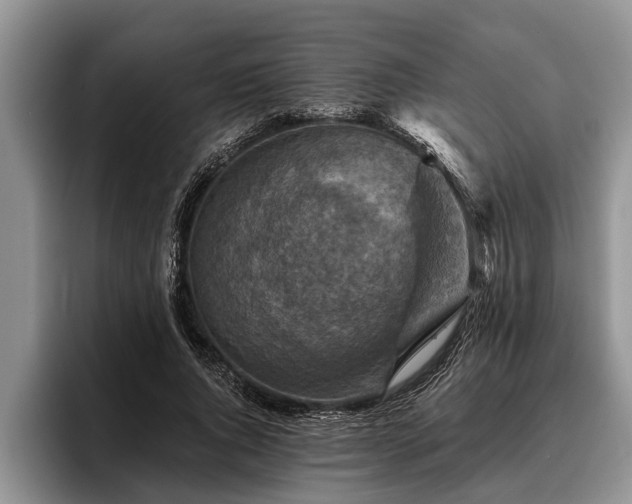 X0000095880736200801181205