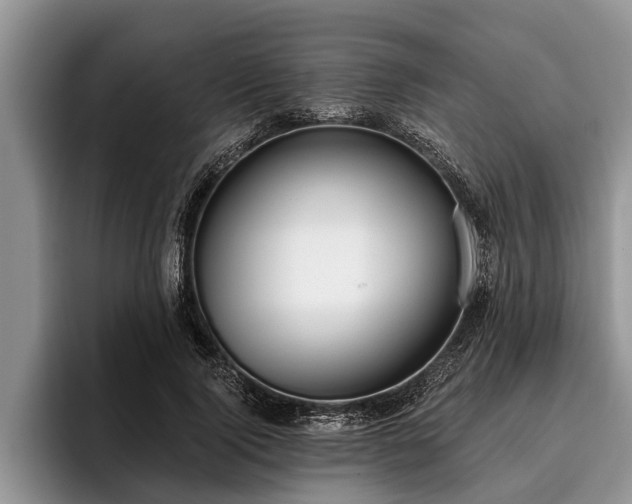 X0000095880740200801181205