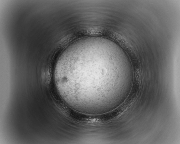 X0000095880741200801181205