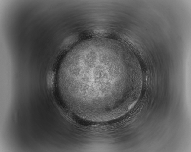 X0000095880742200801181205