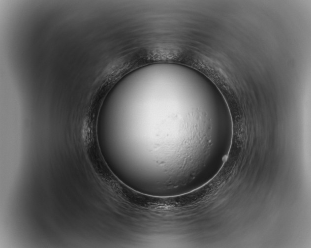 X0000095880743200801181205