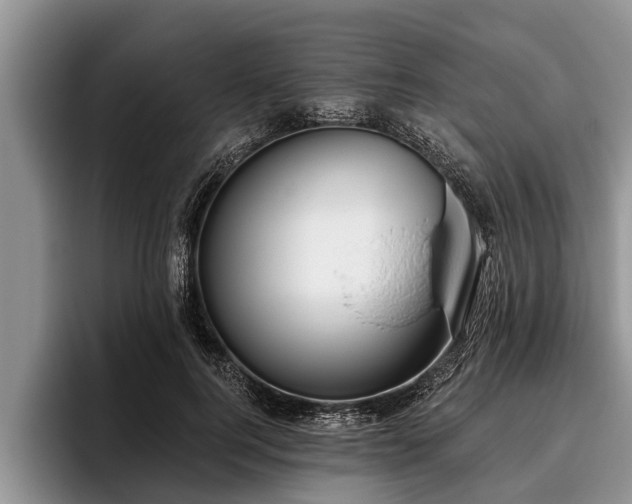 X0000095880744200801181205