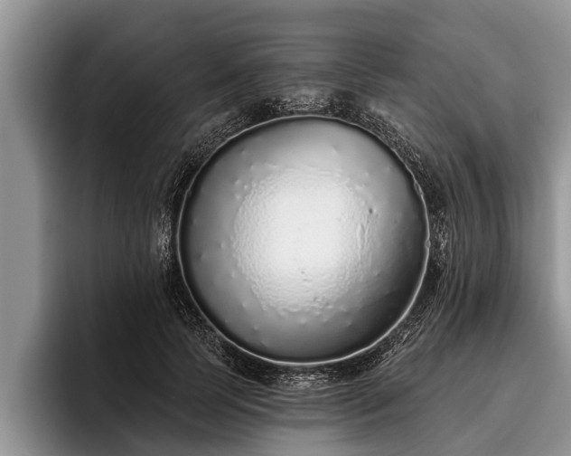 X0000095880745200801181205